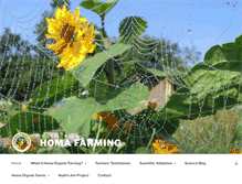 Tablet Screenshot of homafarming.com